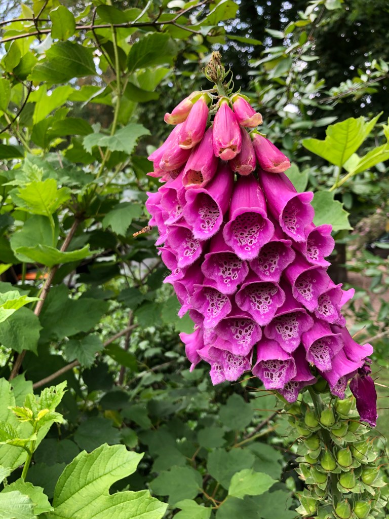 What do you feel in a world of constant change?